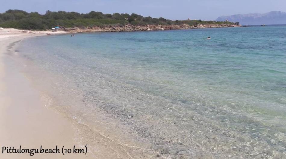 Marina Seaview Olbia Exterior foto